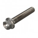 M6 Titanium Ti Socket Bolt Cap Screw 10 15 20 25 30 40 50 55 60 65mm x1mm