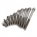 M6 Titanium Ti Socket Bolt Cap Screw 10 15 20 25 30 40 50 55 60 65mm x1mm