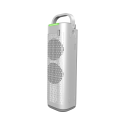 P9 12V Car Home Air Purifier Anion Odor Removal Dust Mini Dual Purpose Purification