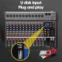 12 Channels Live Studio Audio Mixer Amplifier Professional USB Mixing Bluetooth