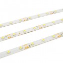 5M 3528 SMD 300 LED Waterproof Car Deacoration Strip Light 12V Four Colors
