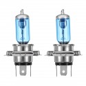 2Pcs Car Halogen Headlights HOD Fog Bulbs Lamps H1 H4 H7 H11 12V 100W 7200LM 6000K