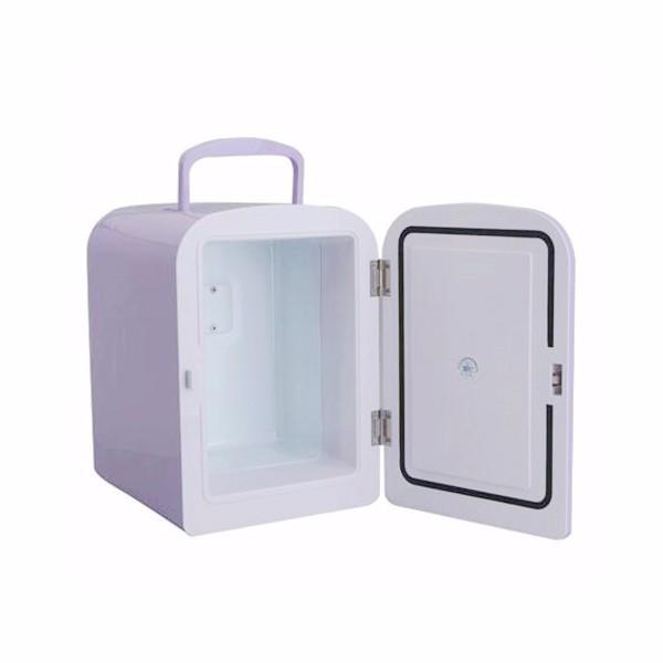 4L Car Mini Ice Box Home Refrigerator Mini Fridge 12V 220V Cool And Warm Contain