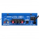 DC12V AC220V Car Home bluetooth Power Car Amplifier With Remote Control