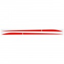 2PCS Stripe Car Side Door Skirt Vinyl Sticker Decal For Honda Civic 10th Gen