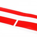 2PCS Stripe Car Side Door Skirt Vinyl Sticker Decal For Honda Civic 10th Gen