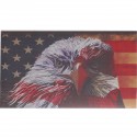 American Flag Bald Eagle Flag Stars Car Truck Rear Window Graphic Decal Sticker