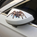 Spider lizard 3D Animal Emulation Truck Trailer Room Window Door Car Stickers Decals