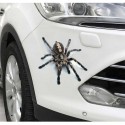 Spider lizard 3D Animal Emulation Truck Trailer Room Window Door Car Stickers Decals