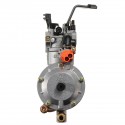 Dual Fuel Carburetor For GX160 168F Water Pump Generator Engine