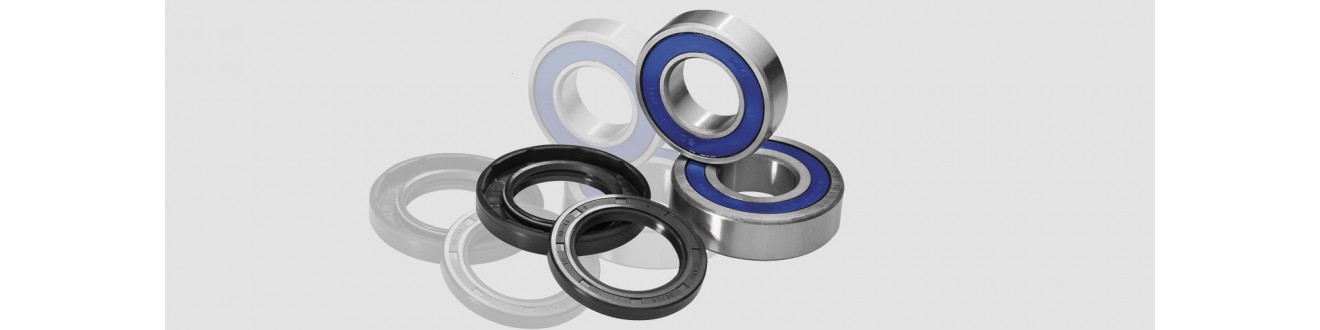 Motorcycle Standard Parts & Bearings