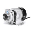 500W 36V/48V/60V Scooter Brushless Engine Motor for E-Tricycle Electric Three Wheel Rickshaw