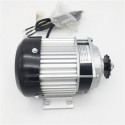 500W 36V/48V/60V Scooter Brushless Engine Motor for E-Tricycle Electric Three Wheel Rickshaw