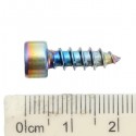 M5 Motorcycle Scooter Stainless Steel Screw Colorful CrossSocket Screws Cap Decoration