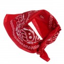 12Pcs Pattern Assorted Colour Sport Bandanas Headwear Face Mask Scarf