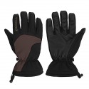 Motorcycle Winter Gloves Waterproof Warm Skating Outdoor Sport Windproof