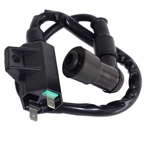 5007.1 Motorcycle Ignition Coil Replaces 21121-1160 21121-1198 For Kawasaki KLF 220 KVF 360 400
