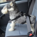 Pet Vehicle Safety Chest Strap Soft Oxford Mesh Dog Car Seat Belt Harness For Medium small Dogs