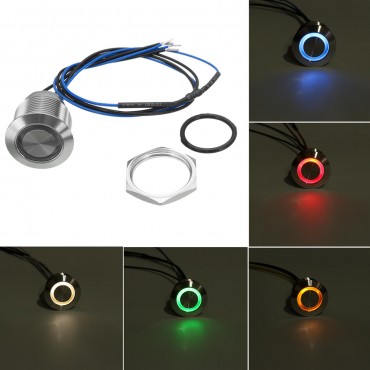 12V 19mm LED Push Button Panel Dash Momentary Switch Light Car Boat Truck