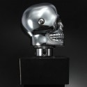 Car Chrome Skull Auto Manual Gear Stick Shift Knob Lever Universal