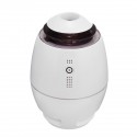 DC 5V 300ml 30ML/H Mini Ultrasonic Car Home Humidifier