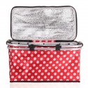 Portable Picnic Basket Thermal Insulated Storage Bag Cooler Tote Food