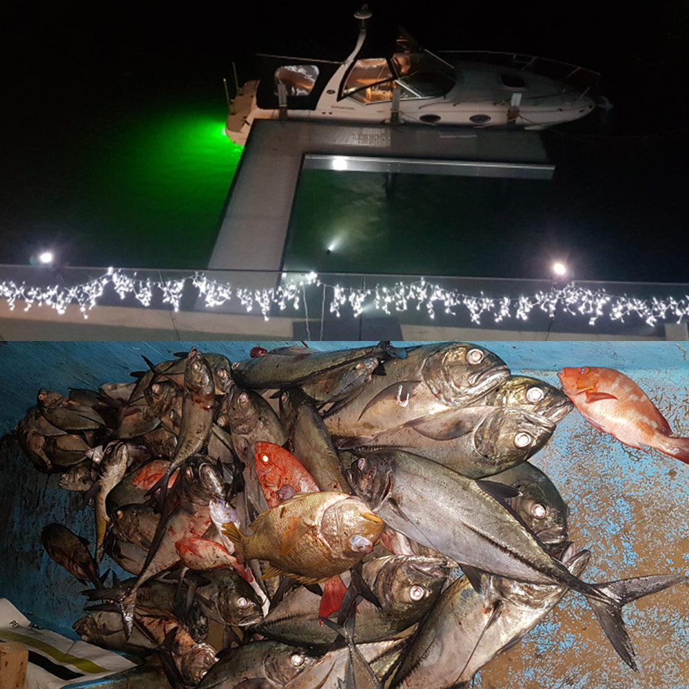 12V-24V-10W-Fishing-Light-LED-Underwater-Lure-Finder-Lamp-Waterproof-Attracts-Prawns-Squid-Krill-1544712