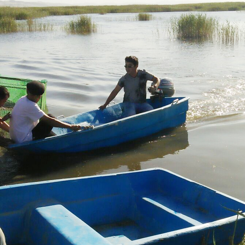 4-Stroke-6HP-Outboard-motor-Boat-Engine-Boat-Motor-Air-Cooling-System-1695542