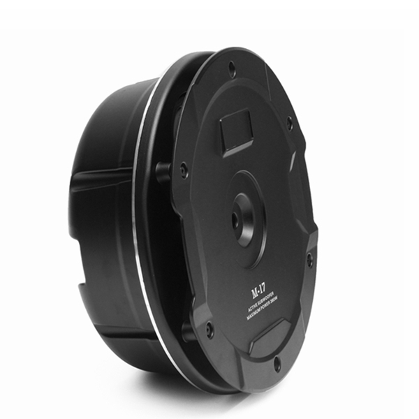8Inch-380W-4ohm-Auto-Subwoofer-Dual-Speaker-Spare-Mount-All-Aluminium-Alloy-1257330