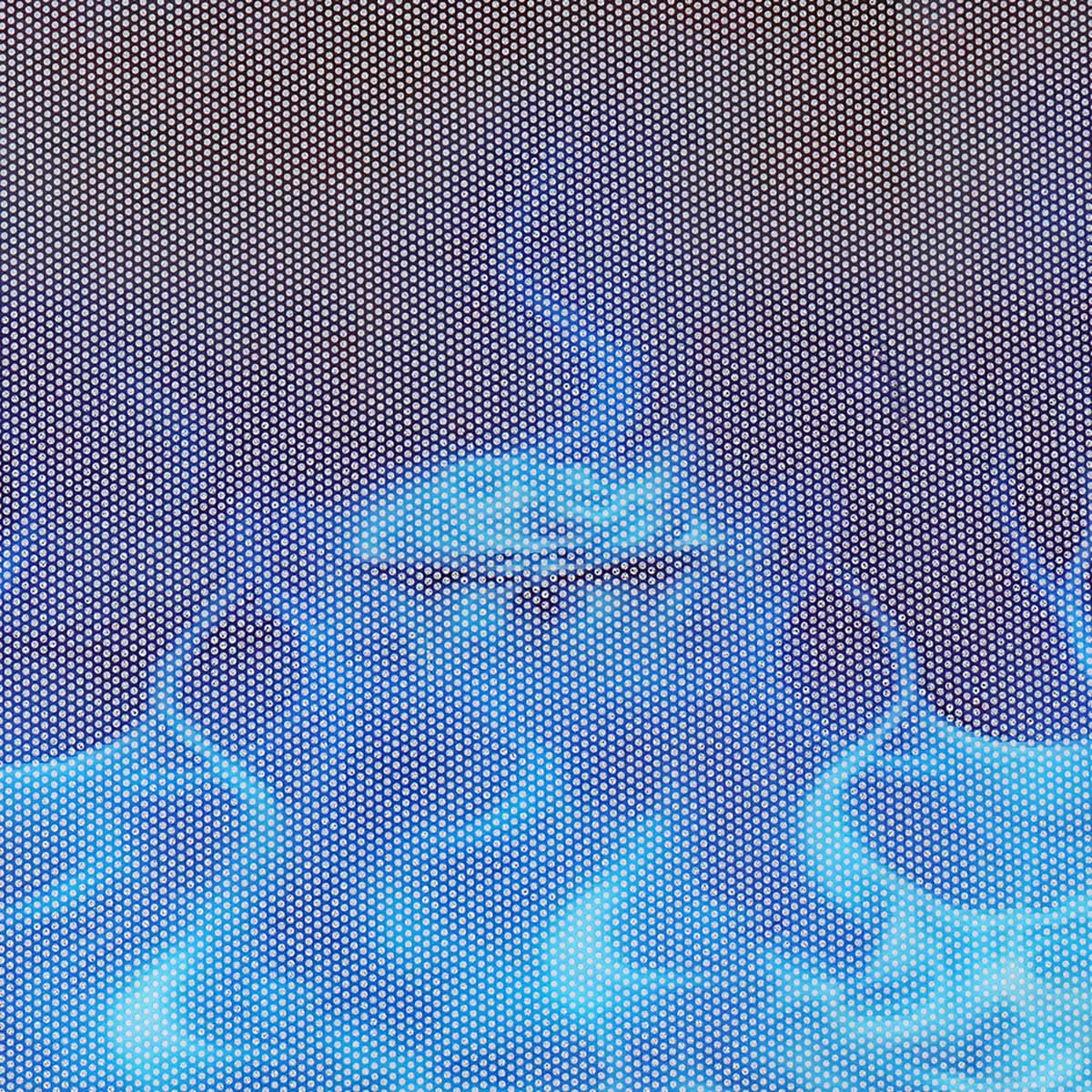 Car-Window-Sticker-Wall-Decal-Waterproof-PVC-Blue-Flaming-Skull-Truck-Decor-1679304