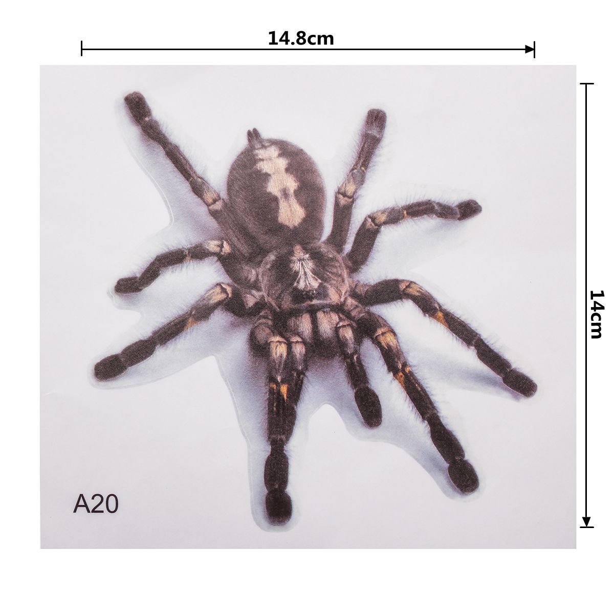 Spider-lizard-3D-Animal-Emulation-Truck-Trailer-Room-Window-Door-Car-Stickers-Decals-1274208