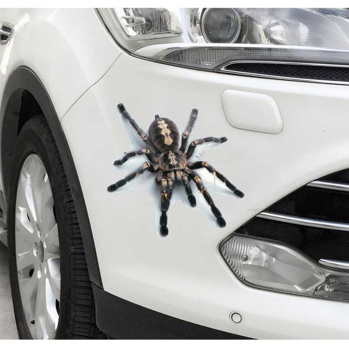 Spider-lizard-3D-Animal-Emulation-Truck-Trailer-Room-Window-Door-Car-Stickers-Decals-1274208