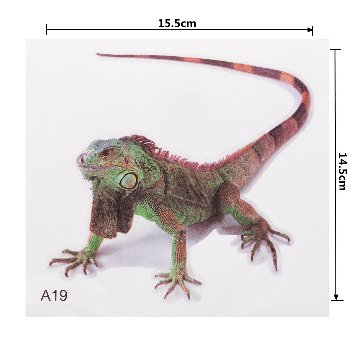 Spider-lizard-3D-Animal-Emulation-Truck-Trailer-Room-Window-Door-Car-Stickers-Decals-1274208