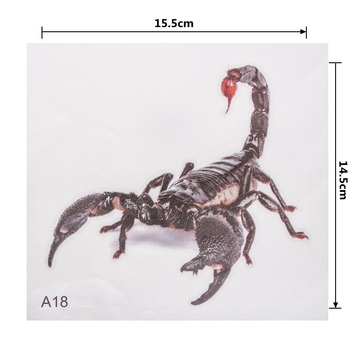 Spider-lizard-3D-Animal-Emulation-Truck-Trailer-Room-Window-Door-Car-Stickers-Decals-1274208