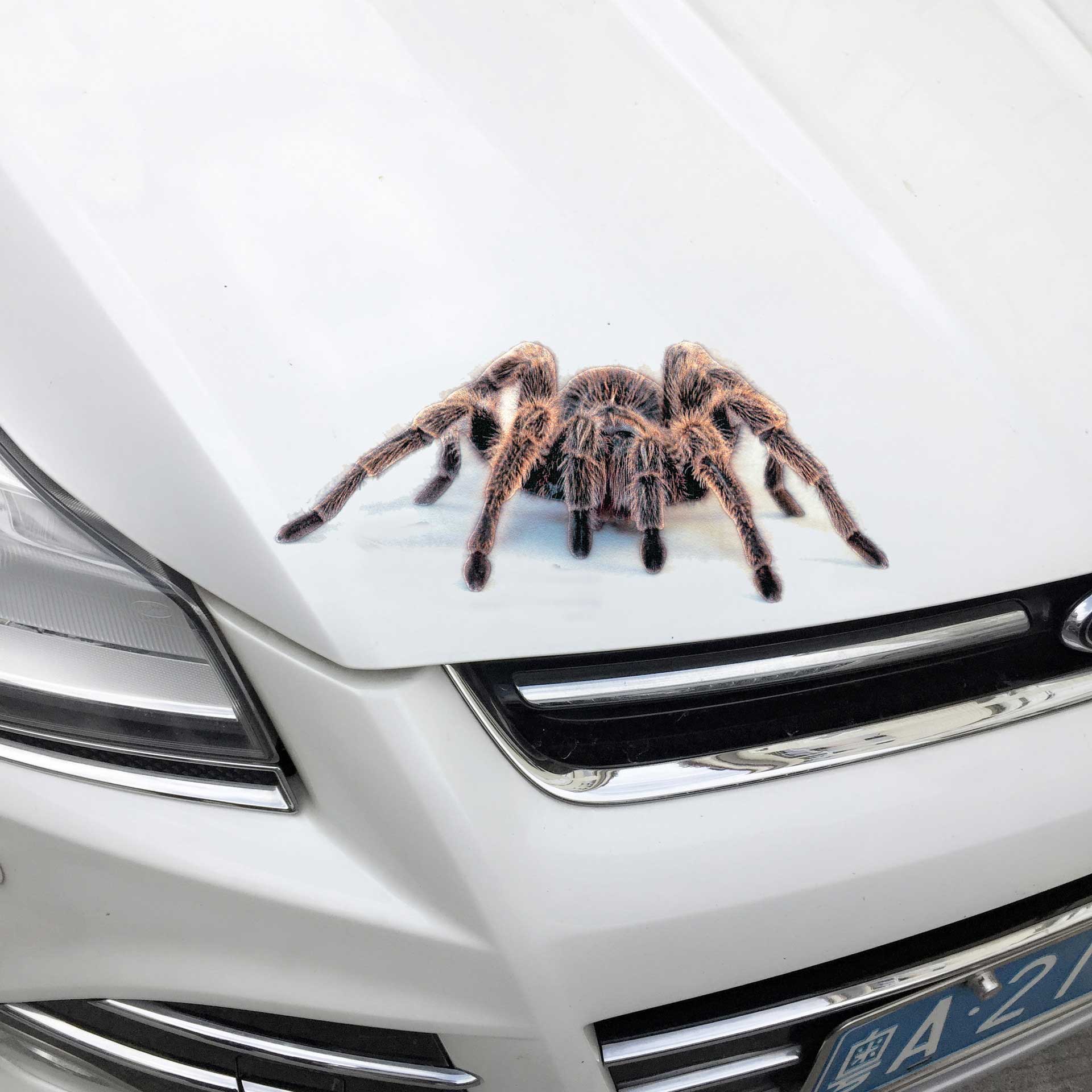 Spider-lizard-3D-Animal-Emulation-Truck-Trailer-Room-Window-Door-Car-Stickers-Decals-1274208