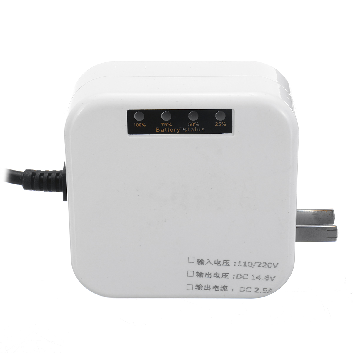 110V-220V-Universal-Intelligent-25A-Battery-Charger-For-Car-Truck-Boat-Motorcycle-1562293