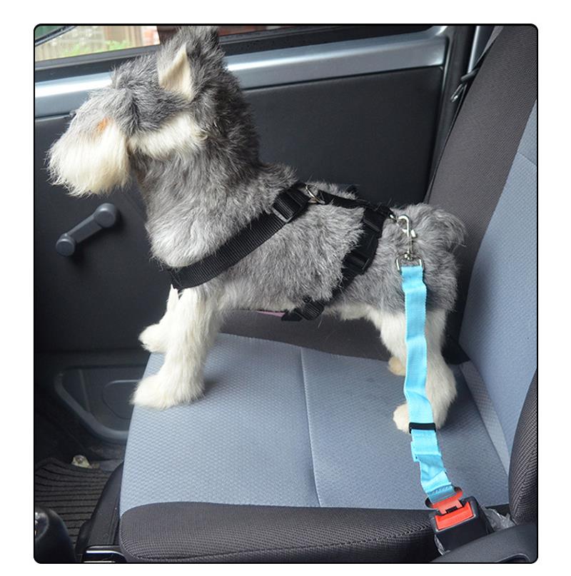 Pet-Vehicle-Safety-Chest-Strap-Soft-Oxford-Mesh-Dog-Car-Seat-Belt-Harness-For-Medium-small-Dogs-1276275
