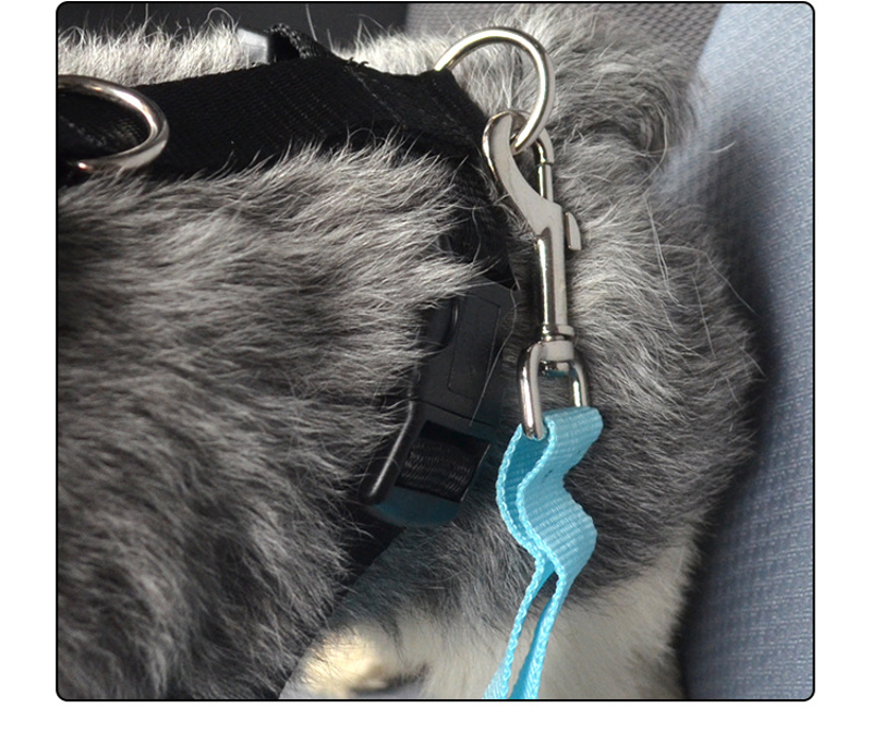 Pet-Vehicle-Safety-Chest-Strap-Soft-Oxford-Mesh-Dog-Car-Seat-Belt-Harness-For-Medium-small-Dogs-1276275